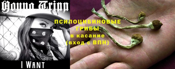 наркотики Алексин