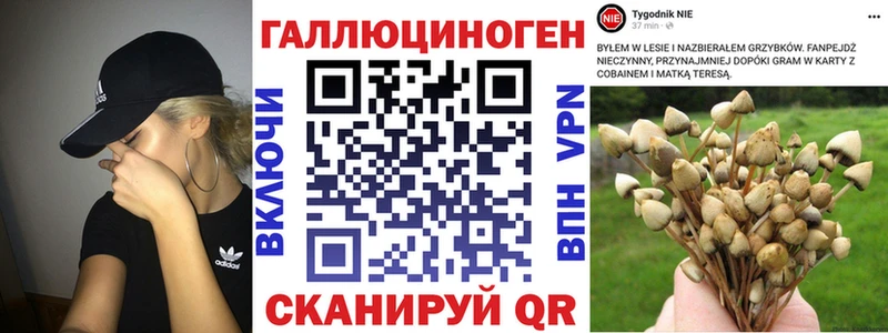 Псилоцибиновые грибы GOLDEN TEACHER  Николаевск 